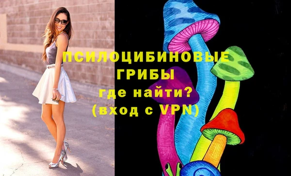 марки nbome Аркадак